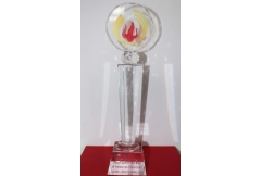 Chứng chỉ 6
